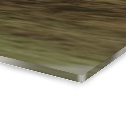 Foggy Landscape Acrylic Prints Triptych, Wall Art, Home Décor, Nature Photography, Modern Art, Gift for Nature Lovers