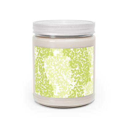 Weeping Birch - Scented Candle - 9oz Relaxation & Home Decor