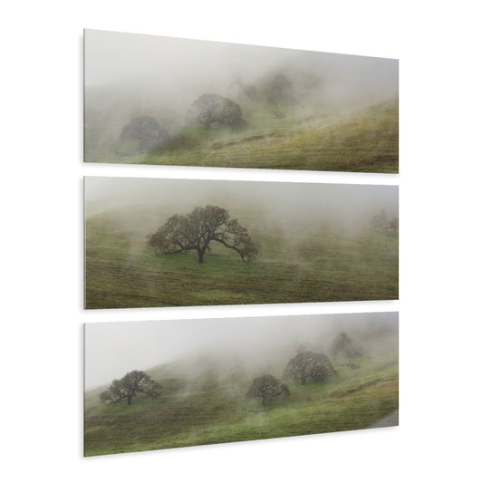 Foggy Landscape Acrylic Prints Triptych, Wall Art, Home Décor, Nature Photography, Modern Art, Gift for Nature Lovers